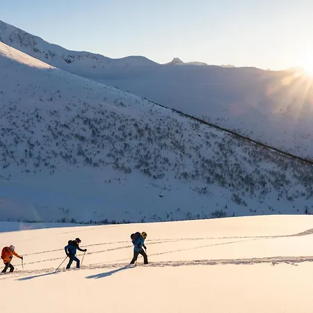 The Crux Nordic Design Mountain Chalet