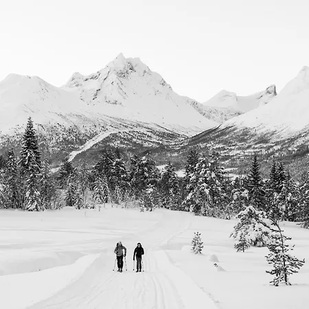 The Crux Nordic Design Mountain *