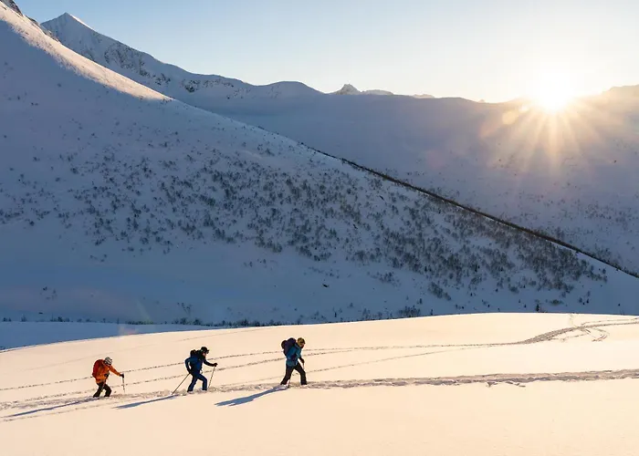 The Crux Nordic Design Mountain 샬레